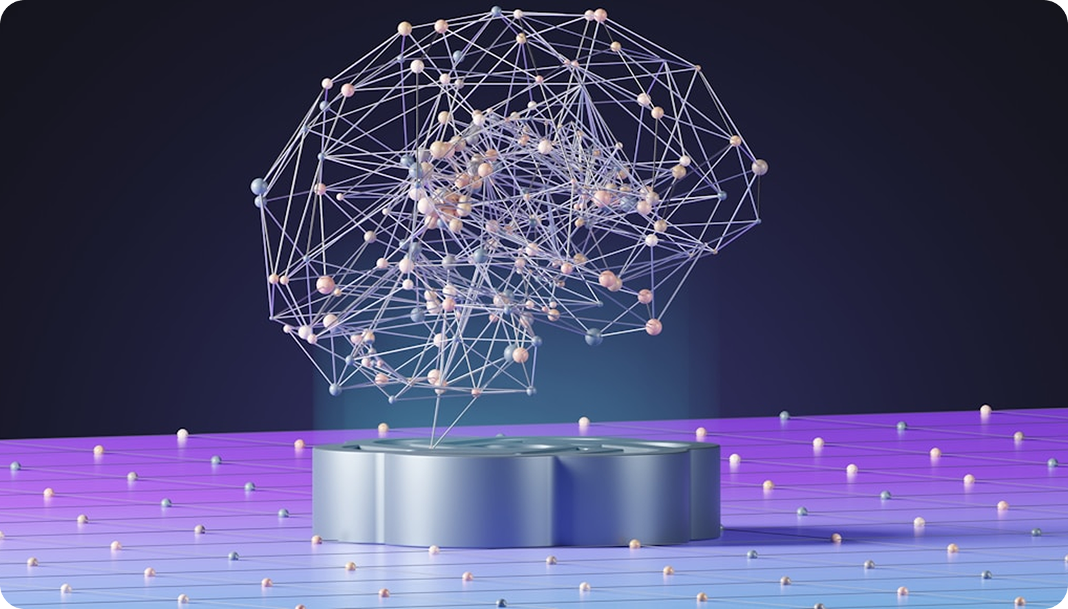 brainNetwork